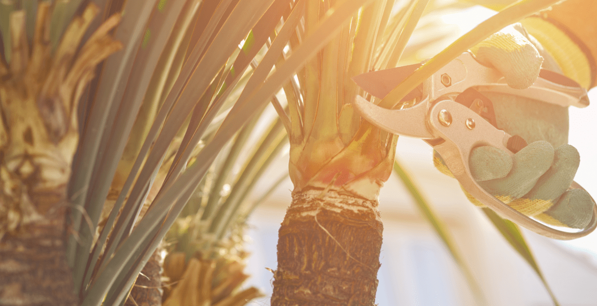 Coastal Crest Landscaping